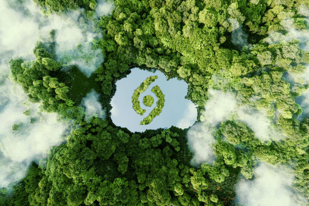 Natur und Umwelt, ein Teich umgeben von Bäumen und Wald, mit dem Logo des Unternehmens Schreyer Verpackungen KG